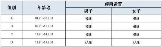 市运会小课堂｜全力挥出的“本垒打”