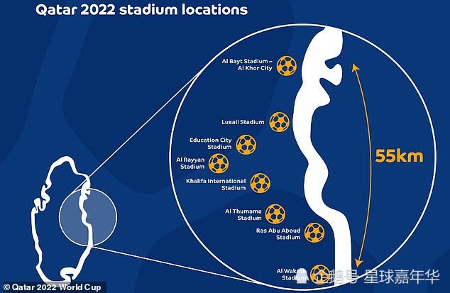 2022非洲国家杯_2022世界举重锦标赛_中国2022世界杯