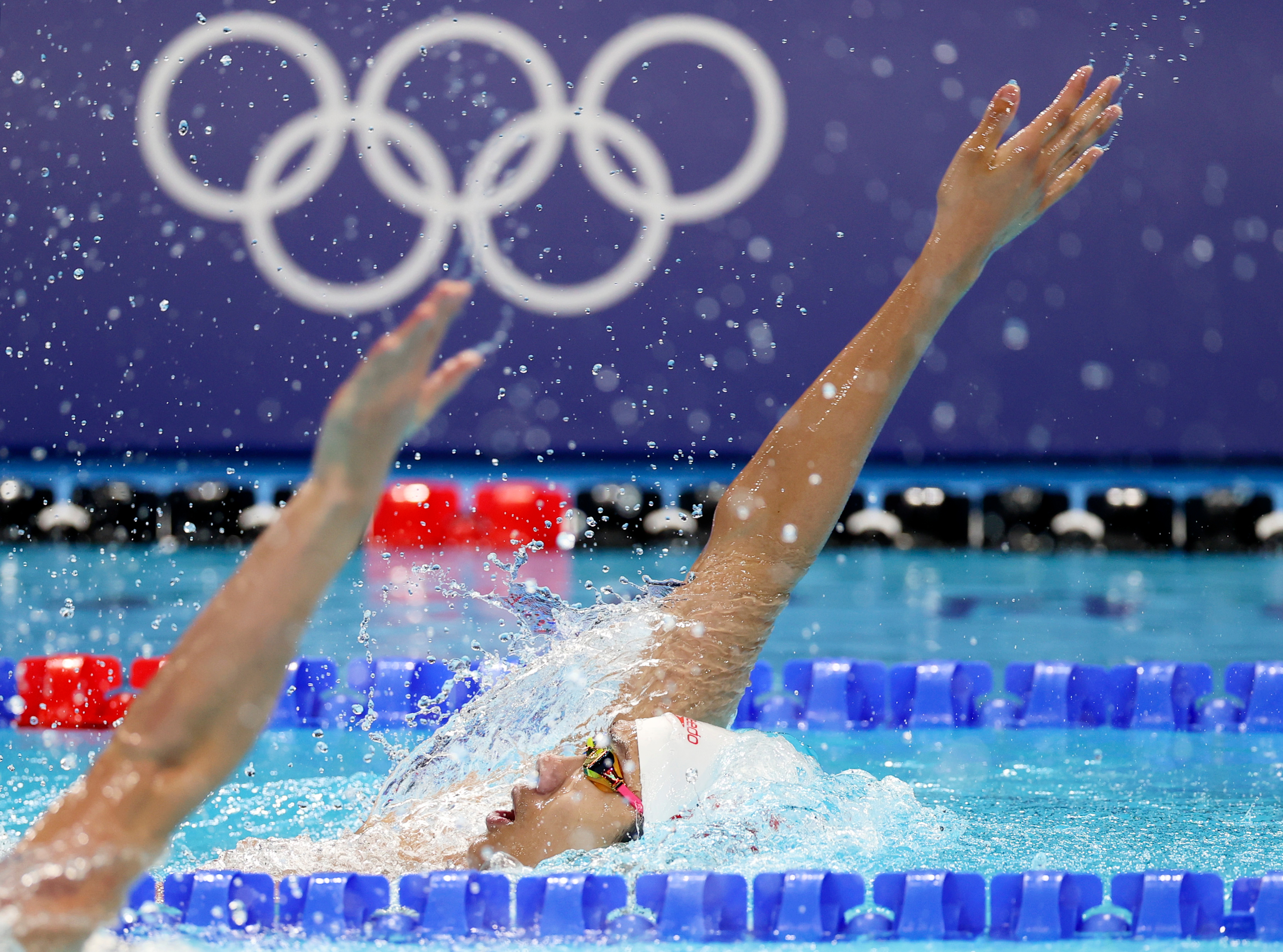 巴黎奥运会|游泳——预赛赛况(9)
