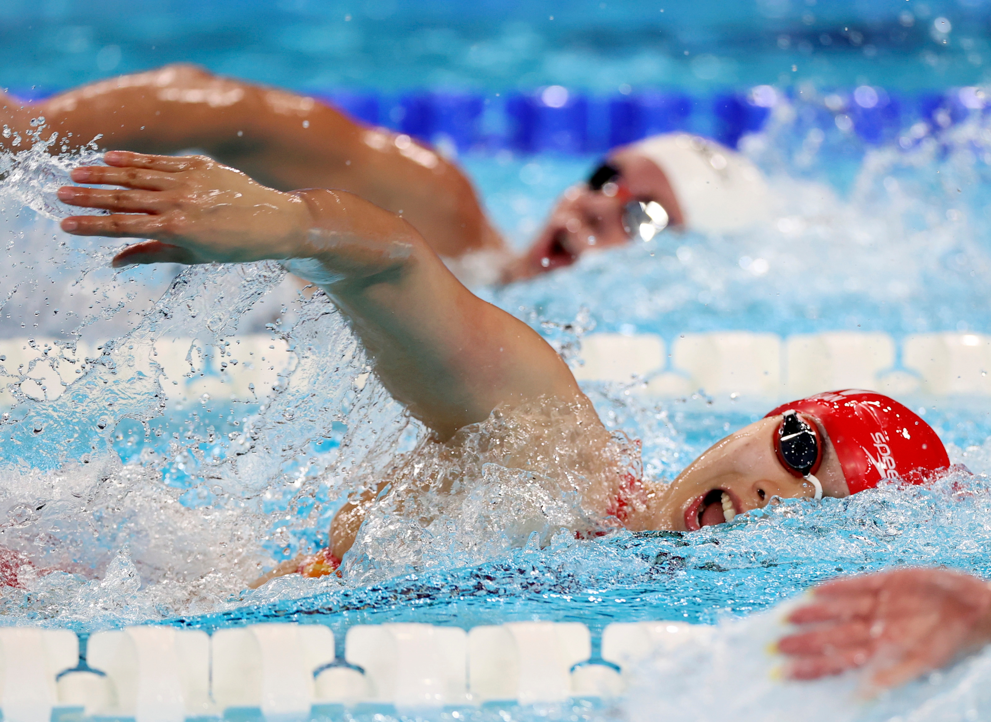巴黎奥运会游泳预赛赛况