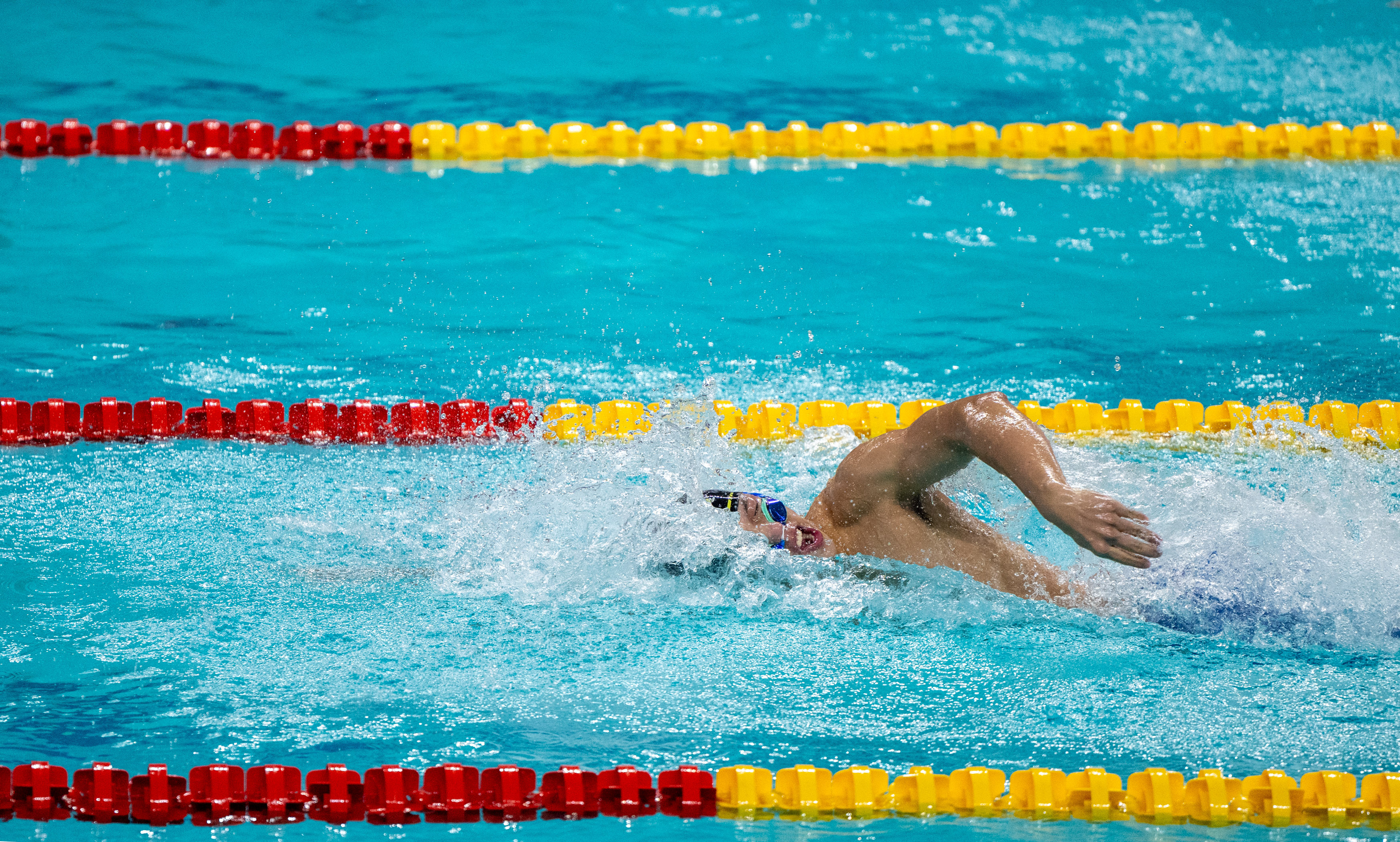 游泳——全国锦标赛:河南队获男子4x200米自由泳接力冠军